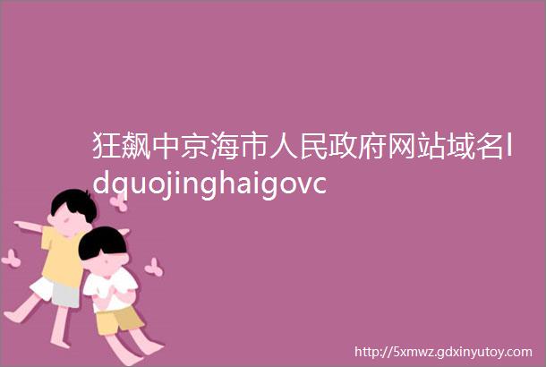 狂飙中京海市人民政府网站域名ldquojinghaigovcnrdquo真的存在吗